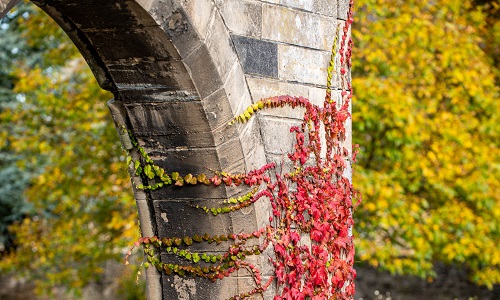Close up photograph of the Georgian arch at our Moray Street campus
