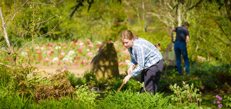 Horticulture course banner image small