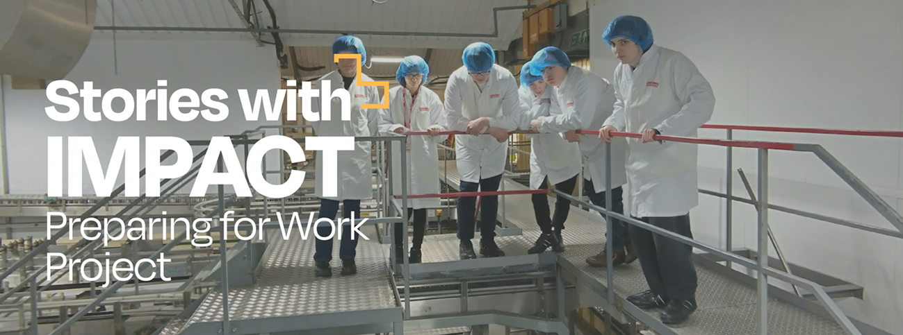 Stories with Impact: Preparing for Work Project