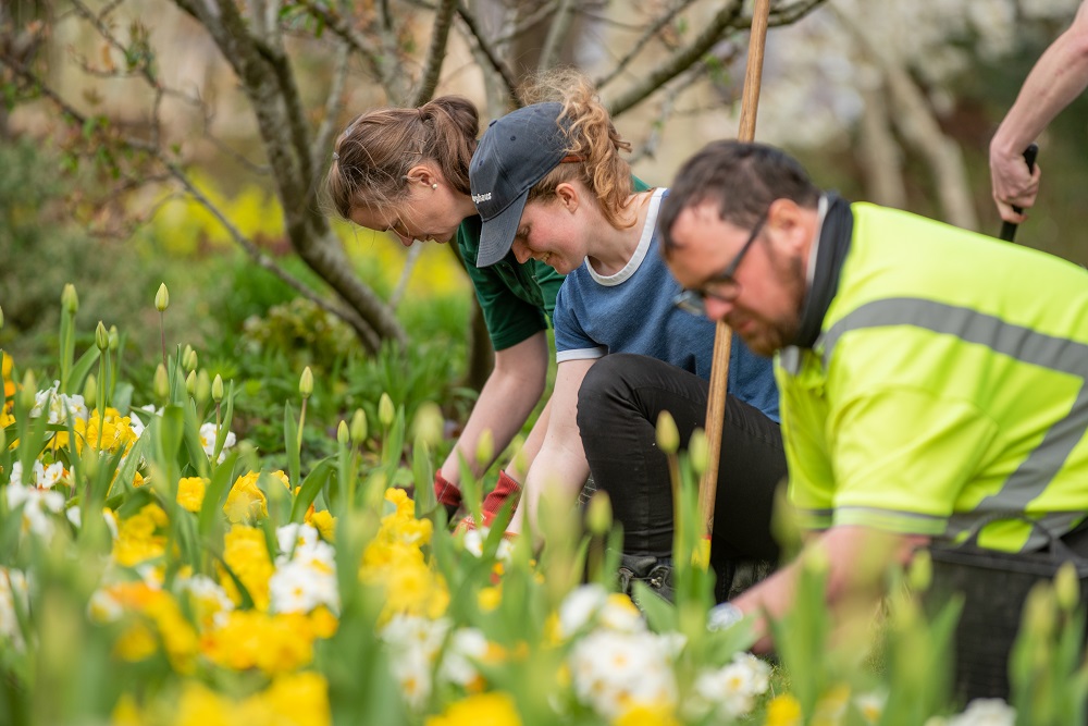 A photograph of three horticulture students all kneeled down and working on a bed of summer plants
