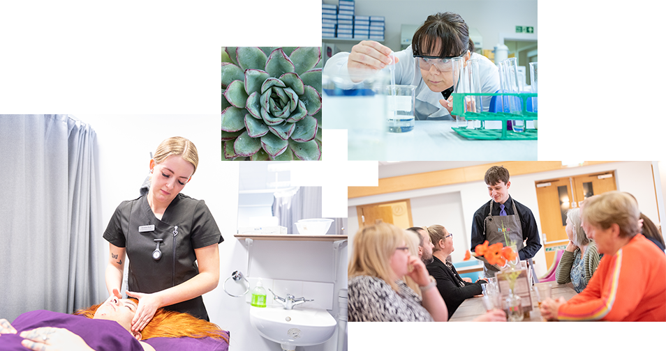 A collage of photos. Photo 1 shows an Integrative Healthcare student carrying out a sports therapy massage on a client. Photo 2 shows a close up of a succulent. Photo 3 shows a photo of a Science student conducting an experiment. Photo 4 shows a hospitality student serving a table of customers.